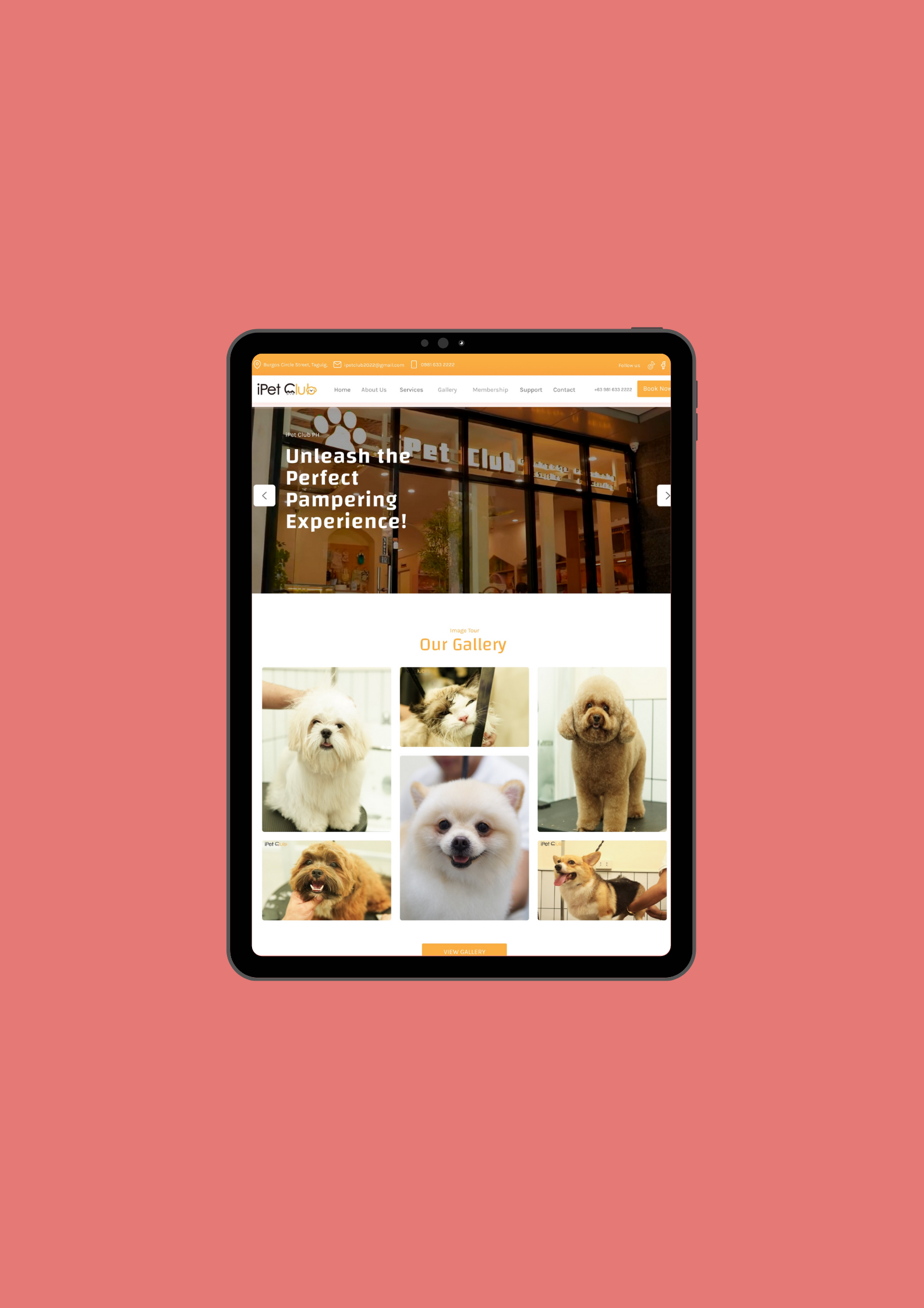 Screenshot of the Application